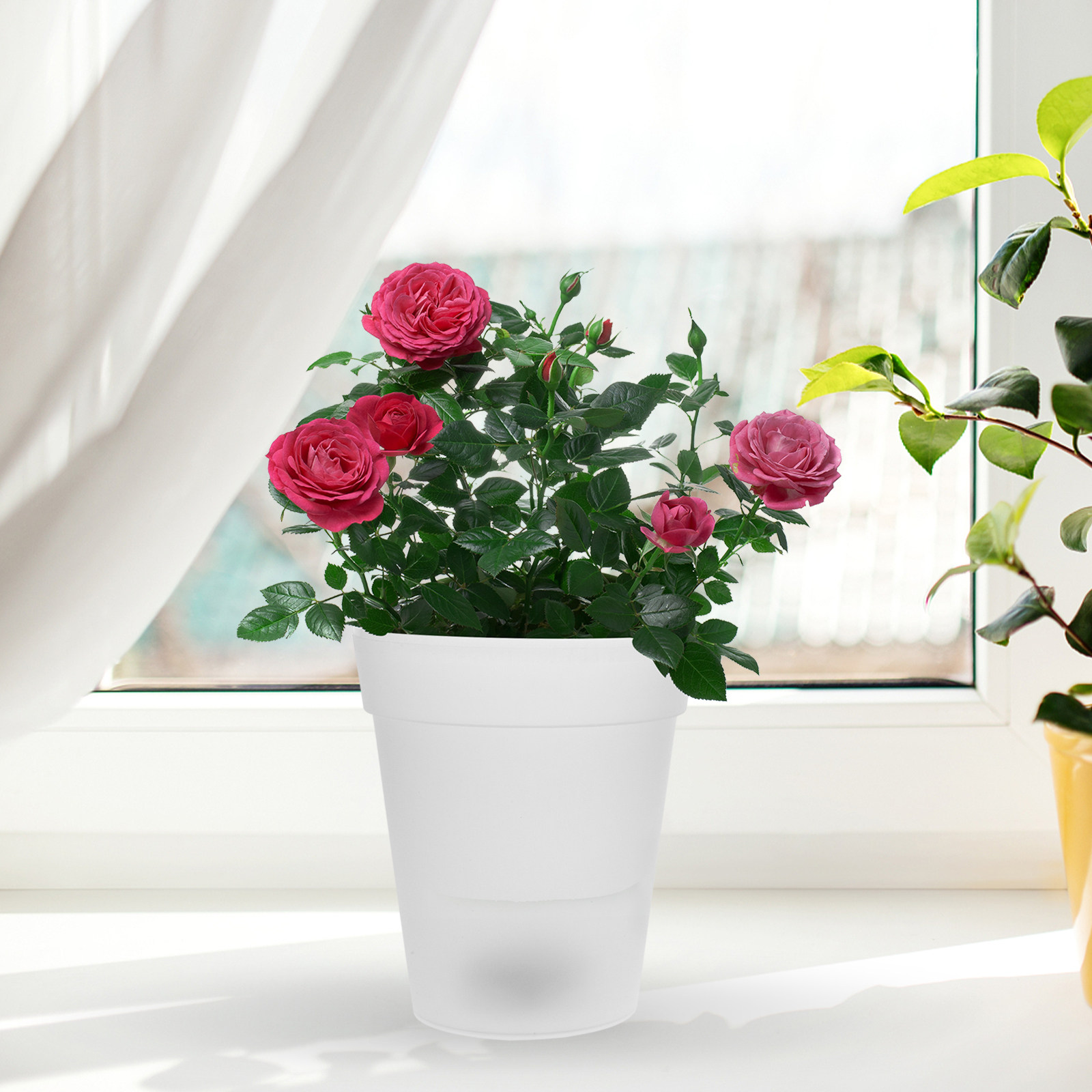 Flowerpot Solar Light Outdoor  - Christmas Lights Outdoor 리뷰 및 가격
