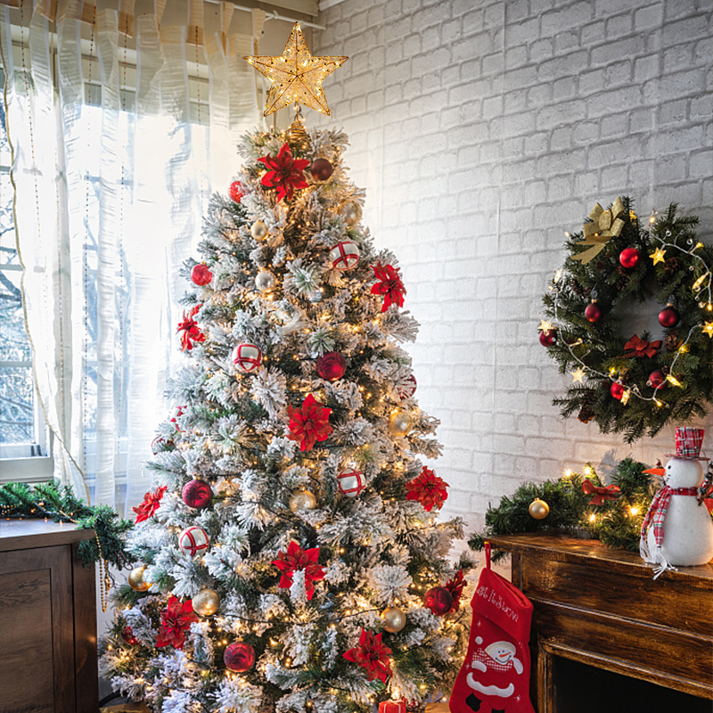 LED Christmas Tree Top Decorat - Star Tree Topper 리뷰 및 가격