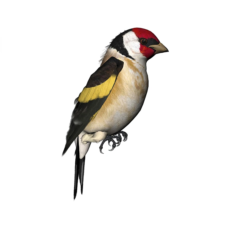 New Design for Tinsel Finches  - Tinsel Garland Decoration 리뷰 및 가격